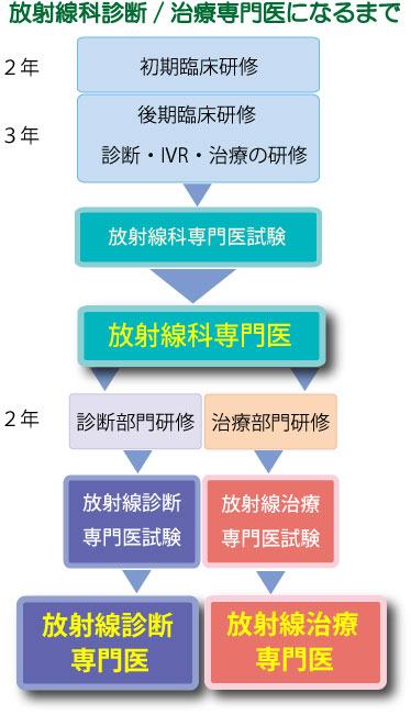 診断専門医になるまで